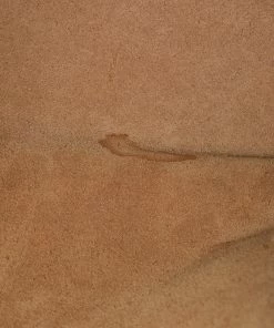 Salt WHAT'S HOT Loewe Medium Gate Bag