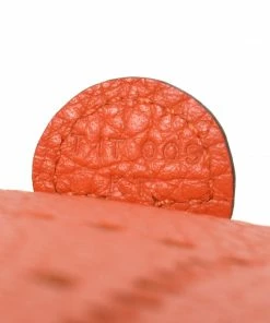 Salt Hermes Evelyn Orange Poppy TPM Bag WHAT'S HOT