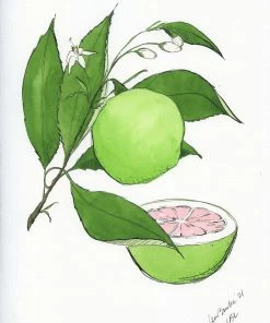 Lia Burke Libaire WHAT'S HOT Citrus