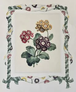 Missy Norton Primrose Trio Antique Print With Hand-painted Roping And Floral Fabric Border