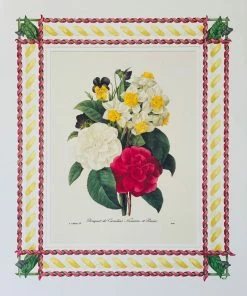 Missy Norton Art & Games Camelia Antique Print With Hand-painted Ribbon Border