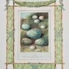 Missy Norton Cool As IKat Nest & Eggs Antique Print With Hand-painted Garland Border