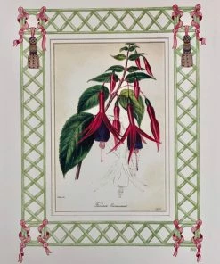 Missy Norton Fuschia Antique Print With Hand-painted Lattice Border. Art & Games