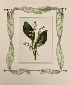 Missy Norton Best Sellers Lily Of The Valley Antique Print With Hand-painted Fabric Border