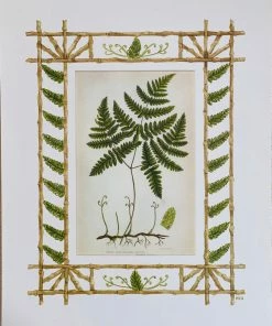 Missy Norton Set Of 4 Fern Antique Prints With Hand-painted Borders Art & Games