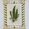 Missy Norton Set Of 4 Fern Antique Prints With Hand-painted Borders Art & Games