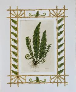 Missy Norton Set Of 4 Fern Antique Prints With Hand-painted Borders Art & Games