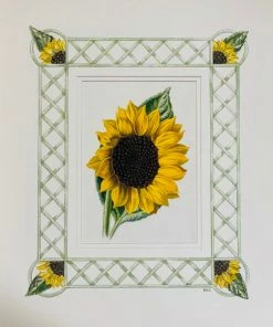 Missy Norton Sunflower Antique Print With Hand-painted Border