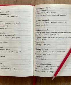 Sloane Stationery Stationery & Home BULLET JOURNAL - A5 Notebook