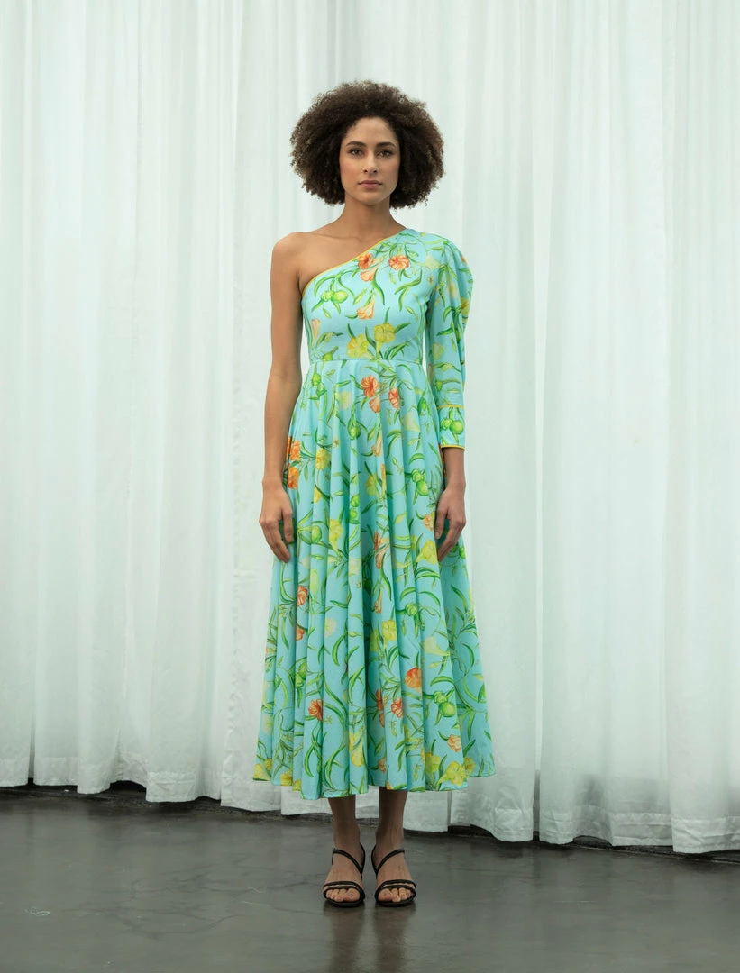 Sruti Dalmia Calling All Colors One-Shoulder Maxi Dress 3 Sruti Dalmia Calling All Colors One-Shoulder Maxi Dress