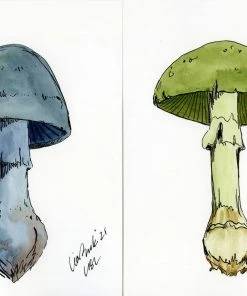 Lia Burke Libaire Earthy Mushrooms (Set Of 4) WHAT'S HOT