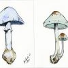 Lia Burke Libaire Rainbow Mushrooms (Set Of 4)