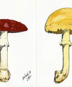 Lia Burke Libaire Earthy Mushrooms (Set Of 4) WHAT'S HOT