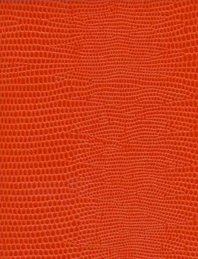 Sloane Stationery NOTEBOOK NO°50 - EVIL GENIUS 5 Sloane Stationery NOTEBOOK NO°50 - EVIL GENIUS