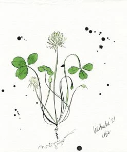 Lia Burke Libaire Splatter Clovers (Set Of 2) Art & Games